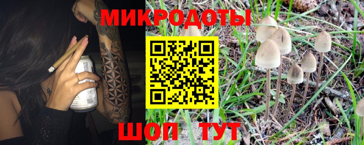 Таганрог  Псилоцибиновые грибы мицелий  Псилоцибиновые грибы GOLDEN TEACHER  Вход с VPN 