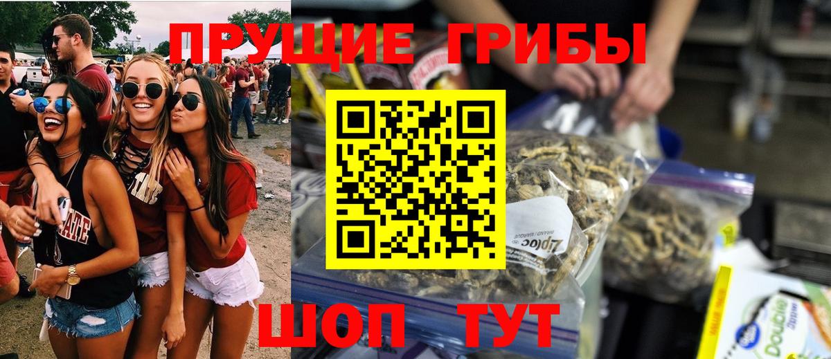 Галлюциногенные грибы Cubensis Таганрог